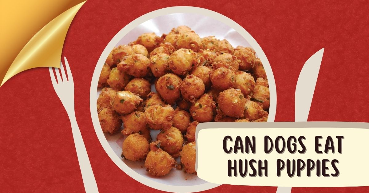 Can Dogs Eat Hush Puppies | Smilling kitchen