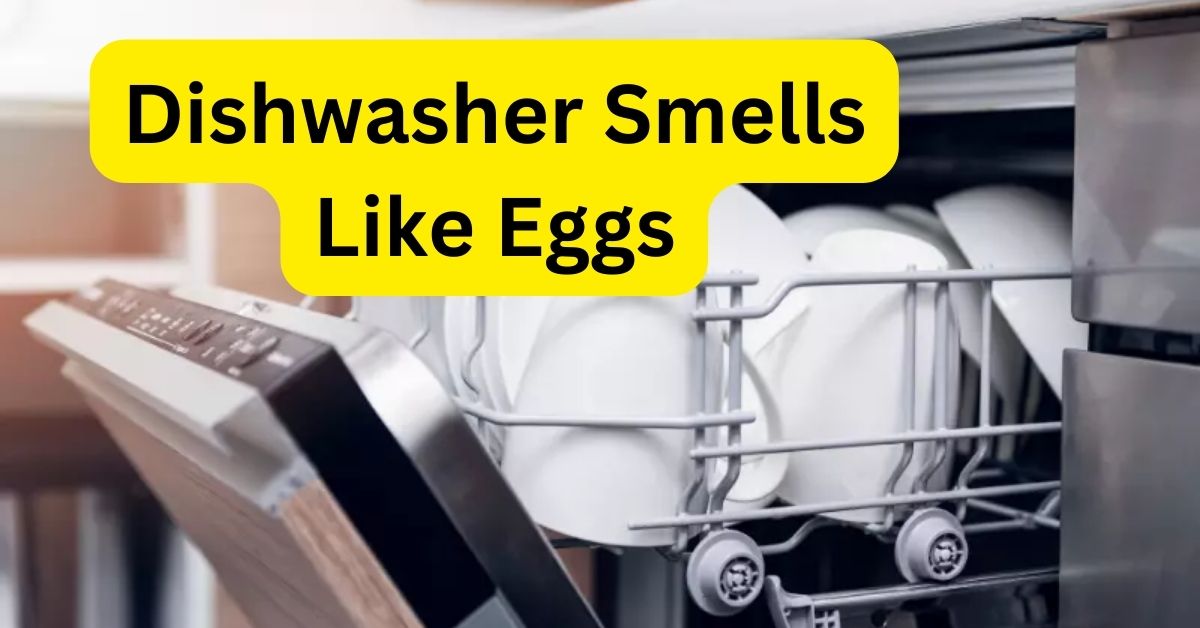 Dishwasher Smells Like Eggs | Smilling Kitchen