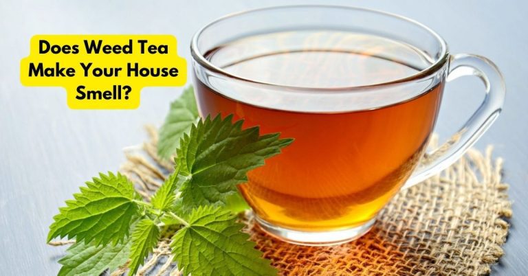 does weed tea make your house smell | smilling Kitchen