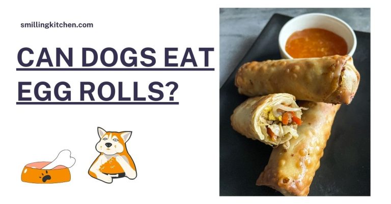 Can Dogs Eat Egg Rolls | smillng Kitchen