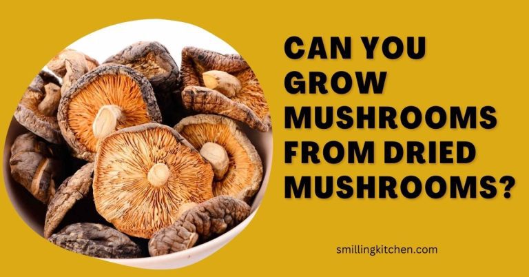 can you grow mushrooms from dried mushrooms